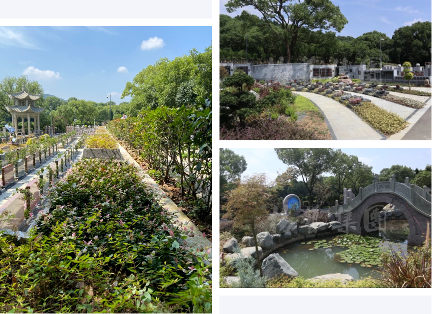 ��ҳ - ���ɱ����ǹ��ʹٷ���վ