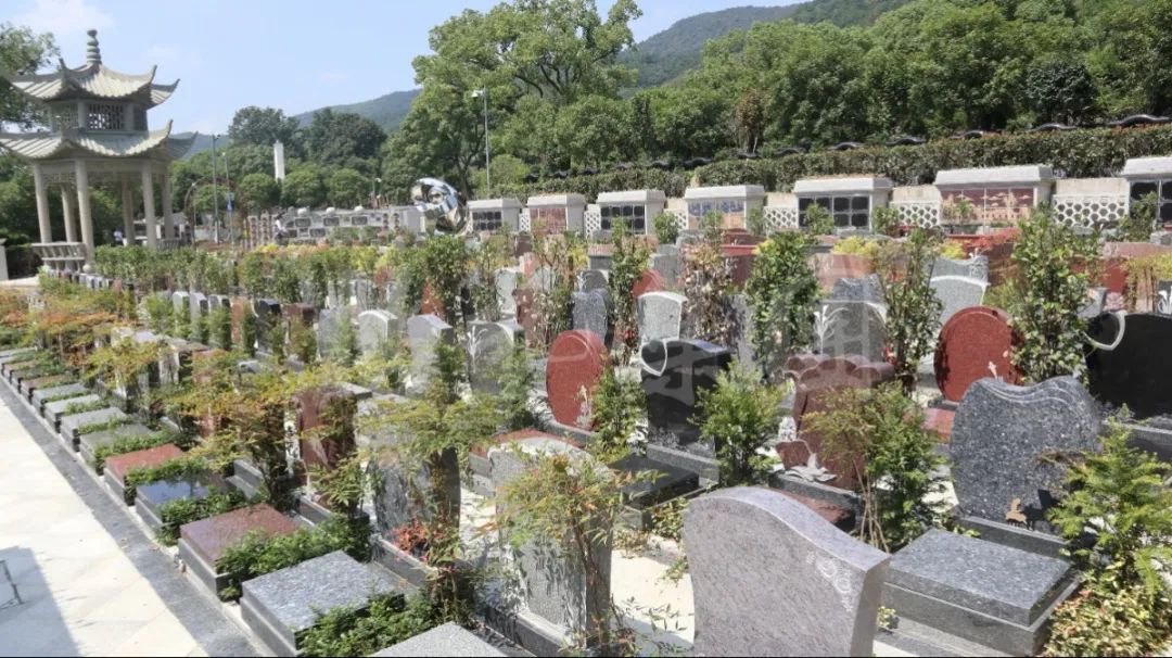 ��ҳ - ���ɱ����ǹ��ʹٷ���վ