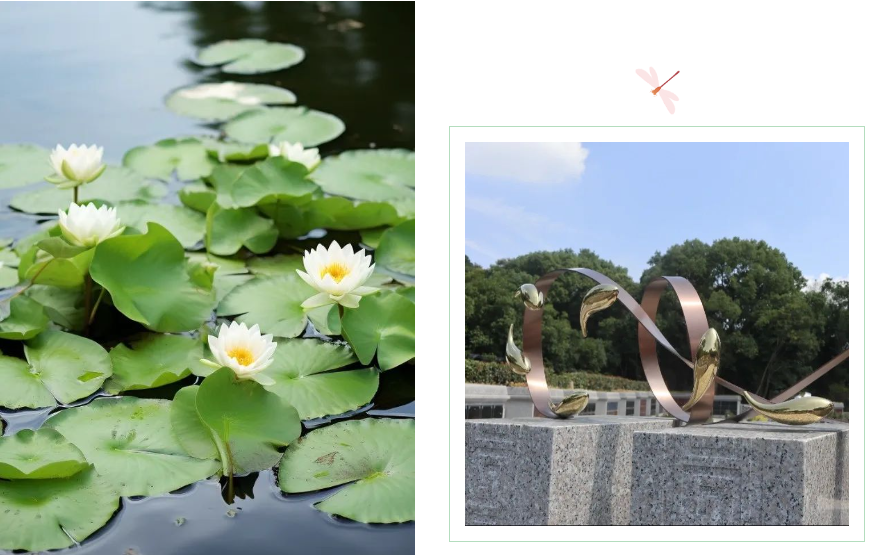 ��ҳ - ���ɱ����ǹ��ʹٷ���վ