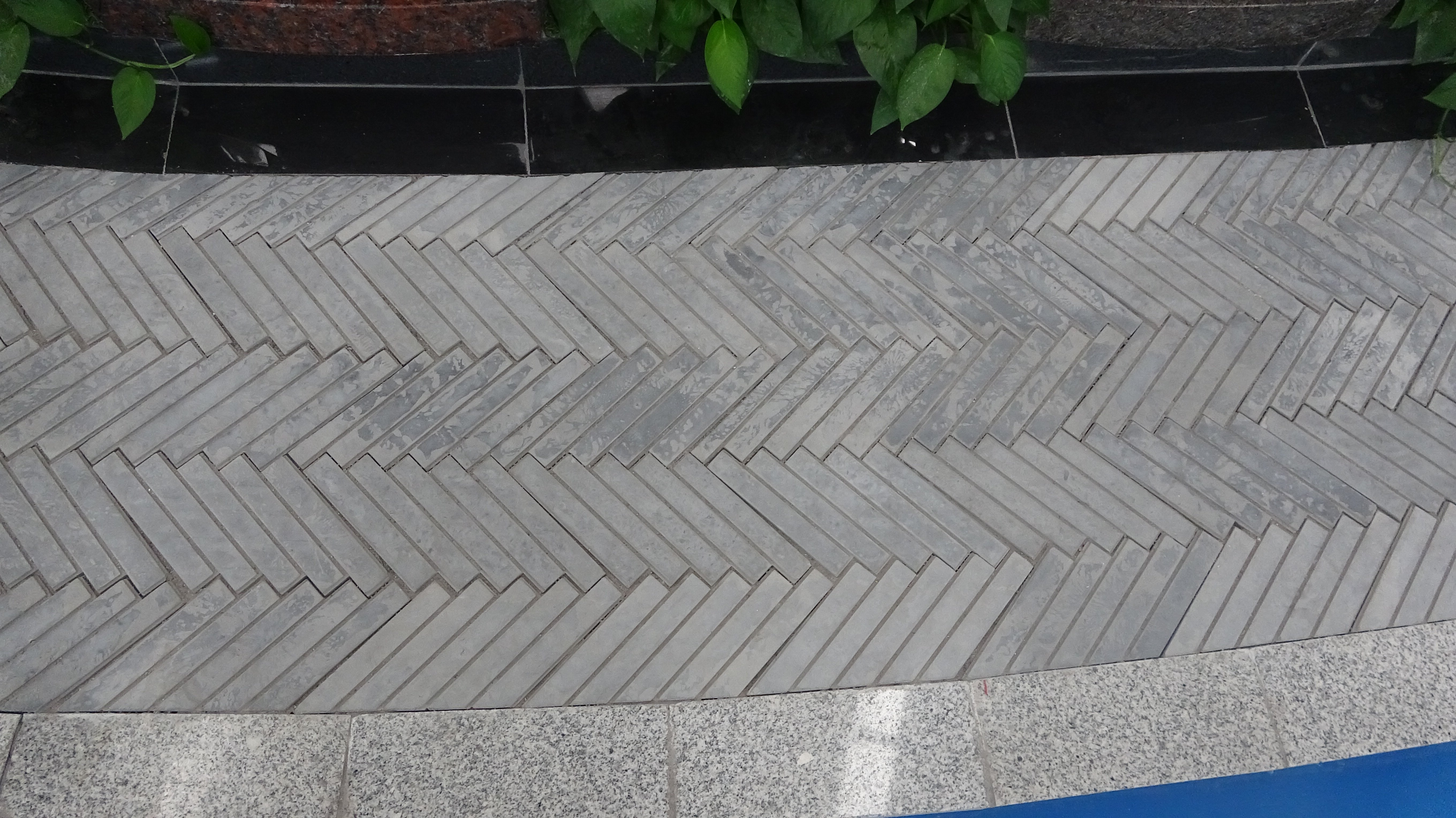 ��ҳ - ���ɱ����ǹ��ʹٷ���վ