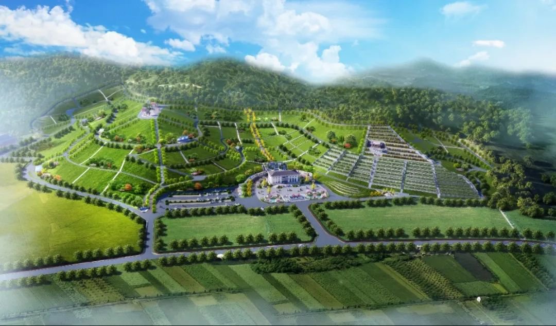 ��ҳ - ���ɱ����ǹ��ʹٷ���վ