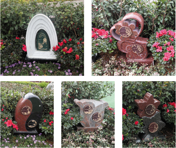 ��ҳ - ���ɱ����ǹ��ʹٷ���վ