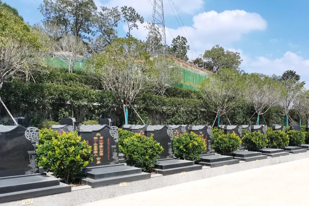 ��ҳ - ���ɱ����ǹ��ʹٷ���վ