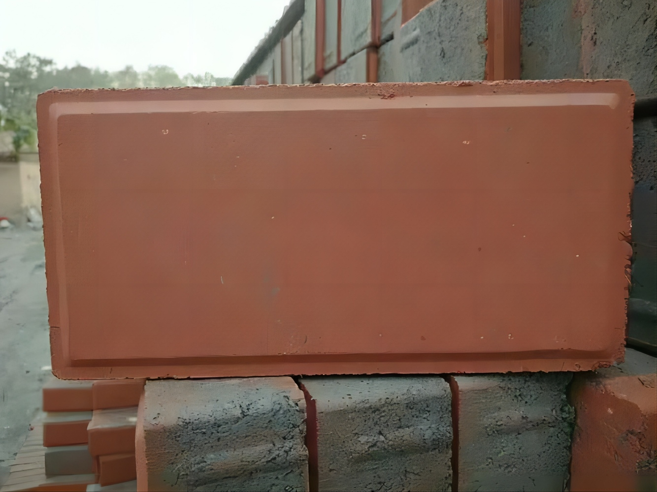 ��ҳ - ���ɱ����ǹ��ʹٷ���վ