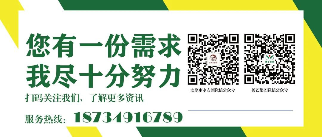 ��ҳ - ���ɱ����ǹ��ʹٷ���վ