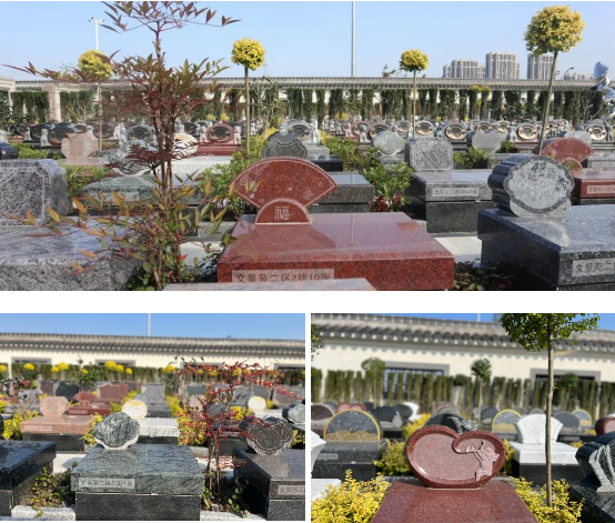 ��ҳ - ���ɱ����ǹ��ʹٷ���վ