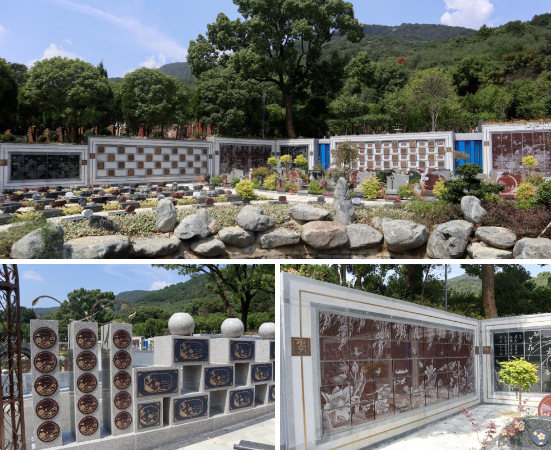 ��ҳ - ���ɱ����ǹ��ʹٷ���վ