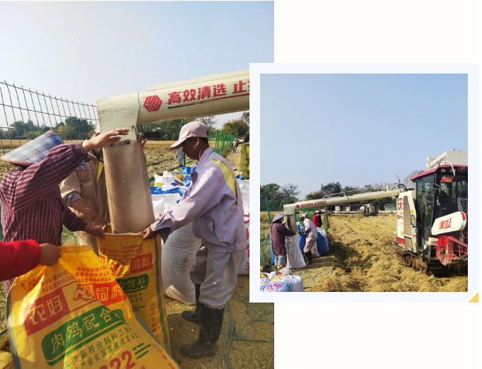 ��ҳ - ���ɱ����ǹ��ʹٷ���վ