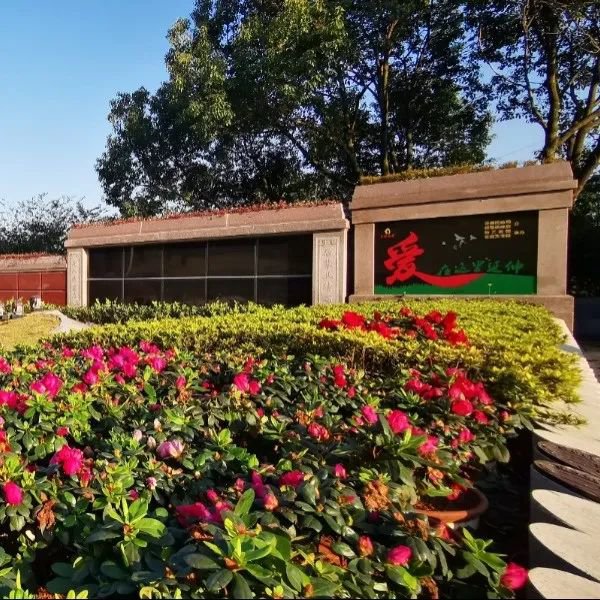 ��ҳ - ���ɱ����ǹ��ʹٷ���վ