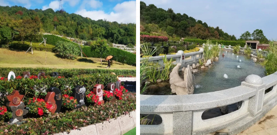 ��ҳ - ���ɱ����ǹ��ʹٷ���վ