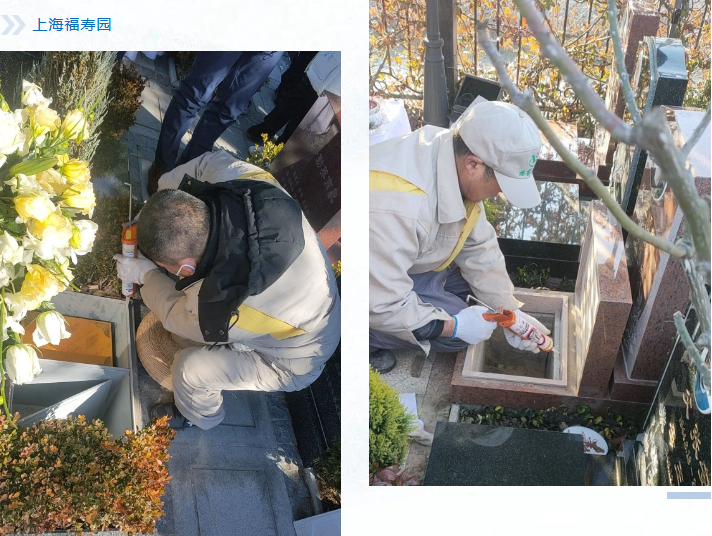 ��ҳ - ���ɱ����ǹ��ʹٷ���վ