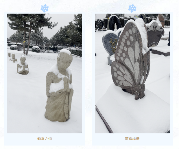 ��ҳ - ���ɱ����ǹ��ʹٷ���վ