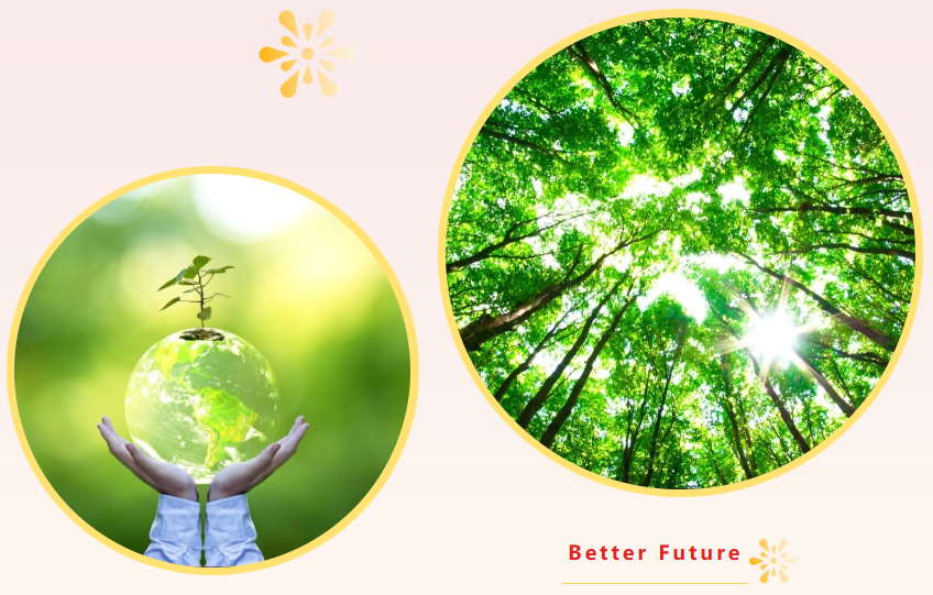 ��ҳ - ���ɱ����ǹ��ʹٷ���վ