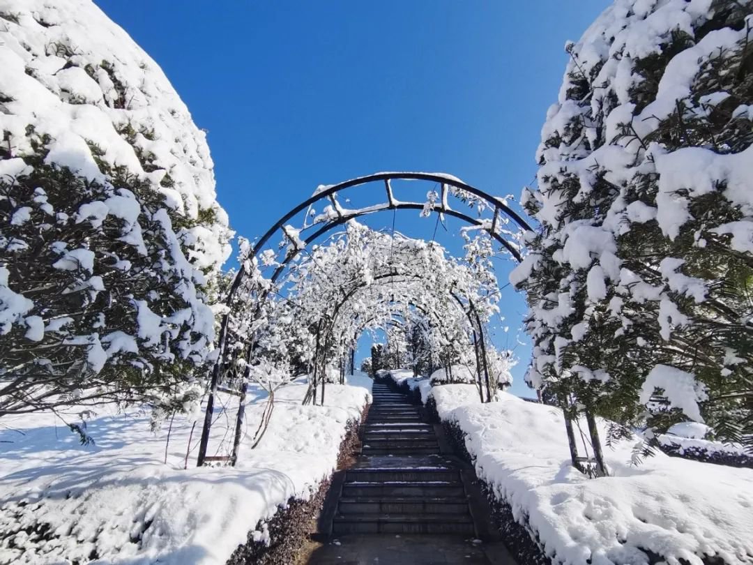 ��ҳ - ���ɱ����ǹ��ʹٷ���վ