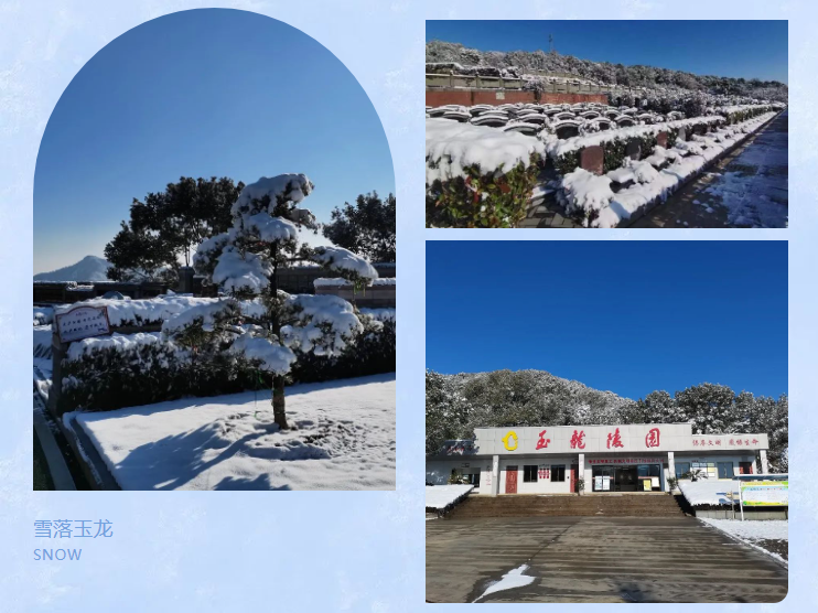 ��ҳ - ���ɱ����ǹ��ʹٷ���վ