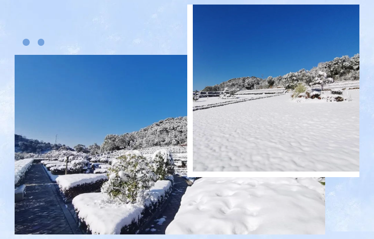 ��ҳ - ���ɱ����ǹ��ʹٷ���վ