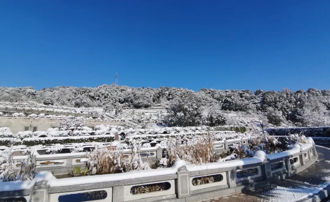 ��ҳ - ���ɱ����ǹ��ʹٷ���վ