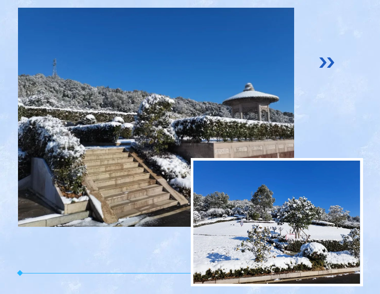 ��ҳ - ���ɱ����ǹ��ʹٷ���վ