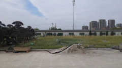 ��Ĺ԰΢ˢ���������������Ĺ���