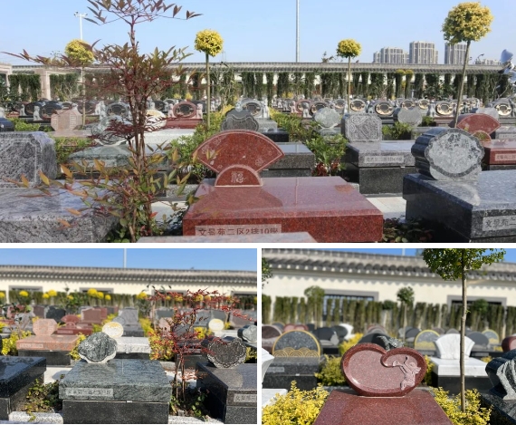 ��ҳ - ���ɱ����ǹ��ʹٷ���վ