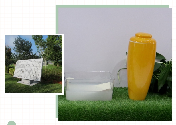 ��ҳ - ���ɱ����ǹ��ʹٷ���վ