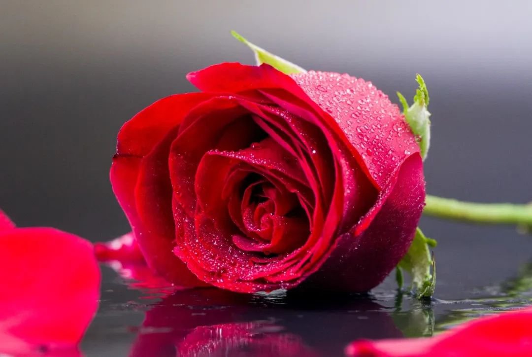 ��ҳ - ���ɱ����ǹ��ʹٷ���վ