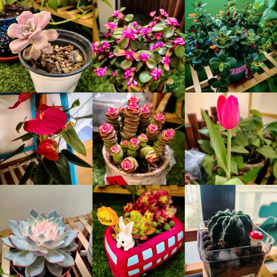 ��ҳ - ���ɱ����ǹ��ʹٷ���վ