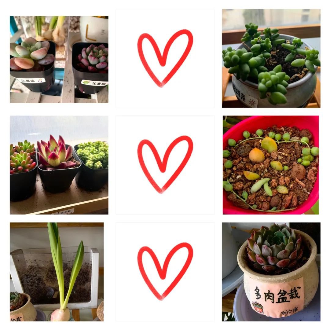 ��ҳ - ���ɱ����ǹ��ʹٷ���վ