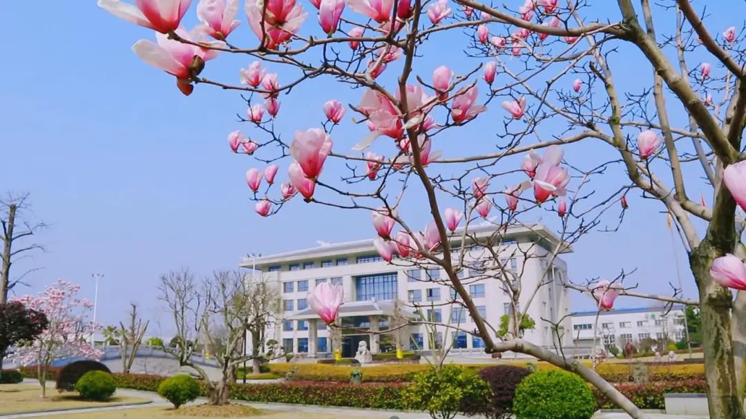 ��ҳ - ���ɱ����ǹ��ʹٷ���վ