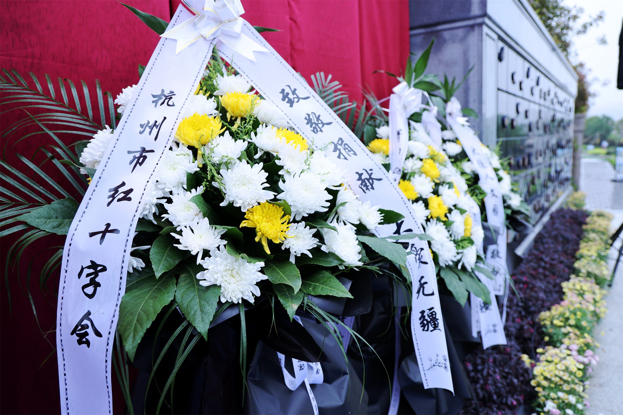 ��ҳ - ���ɱ����ǹ��ʹٷ���վ