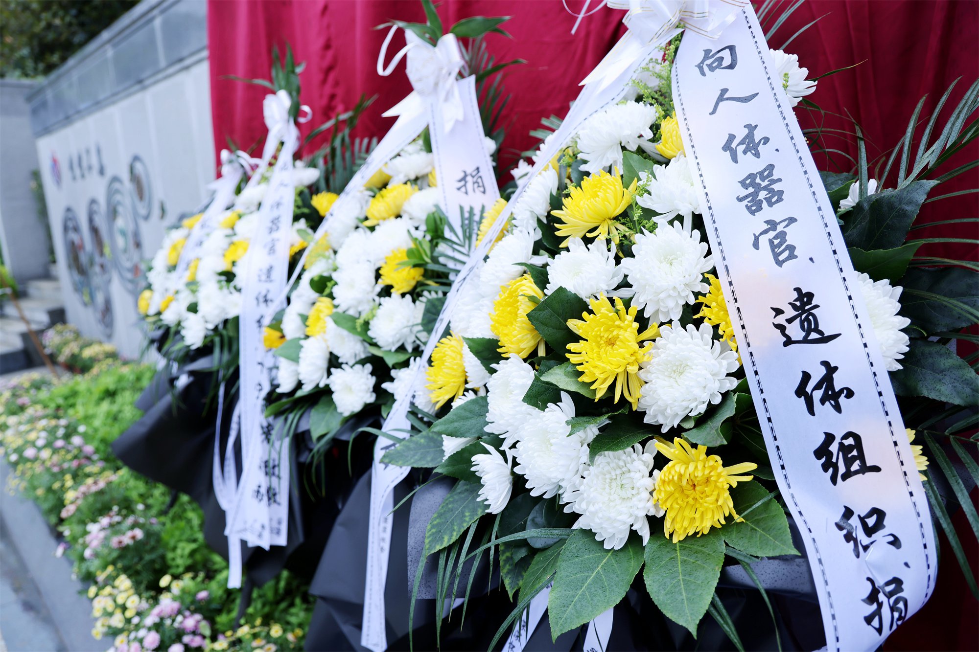 ��ҳ - ���ɱ����ǹ��ʹٷ���վ