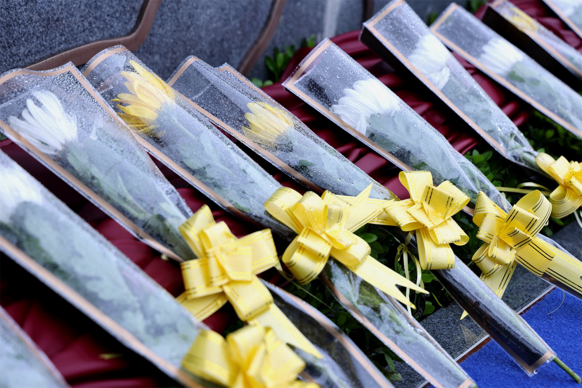 ��ҳ - ���ɱ����ǹ��ʹٷ���վ