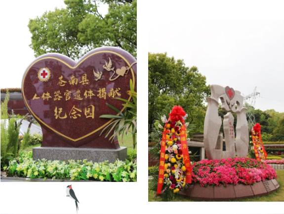 ��ҳ - ���ɱ����ǹ��ʹٷ���վ