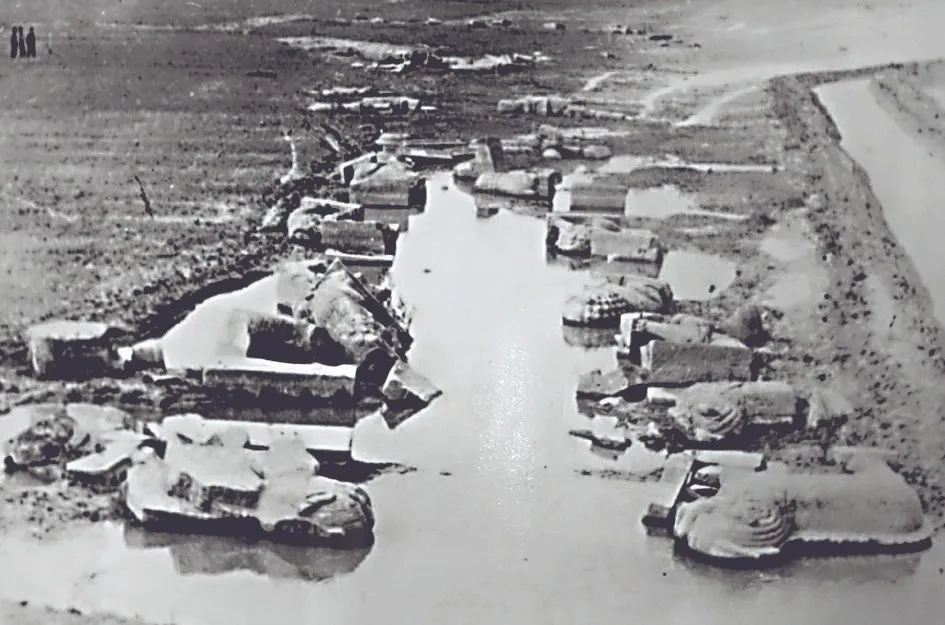 ��ҳ - ���ɱ����ǹ��ʹٷ���վ