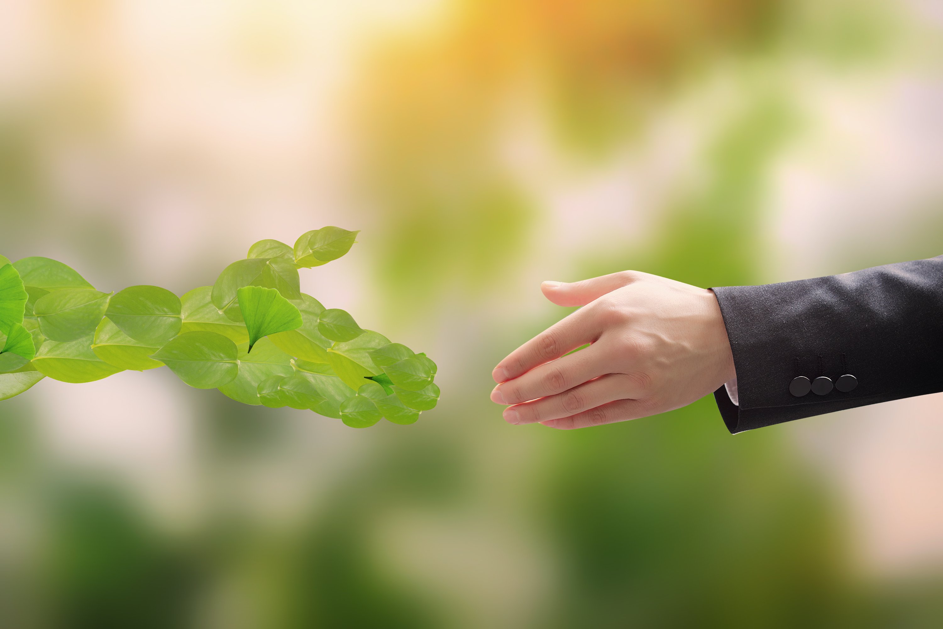 ��ҳ - ���ɱ����ǹ��ʹٷ���վ