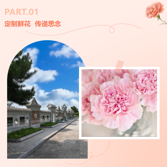 ��ҳ - ���ɱ����ǹ��ʹٷ���վ