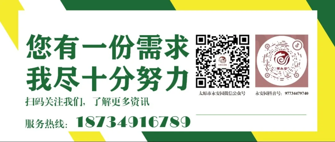 ��ҳ - ���ɱ����ǹ��ʹٷ���վ