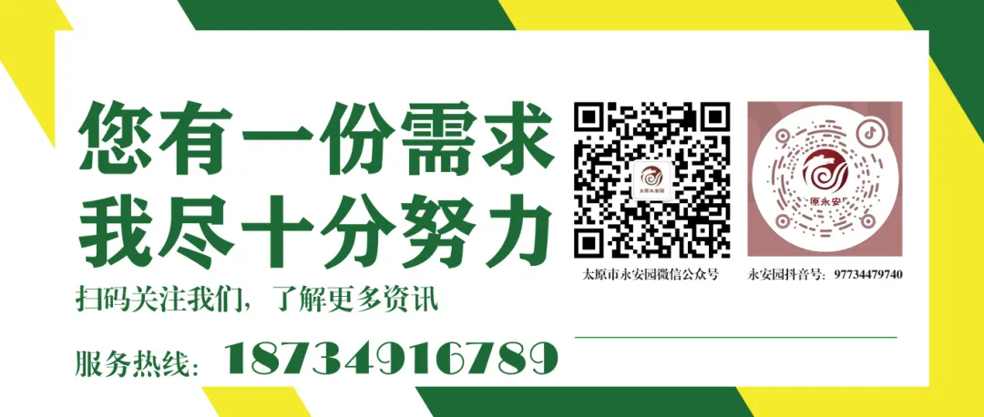 ��ҳ - ���ɱ����ǹ��ʹٷ���վ