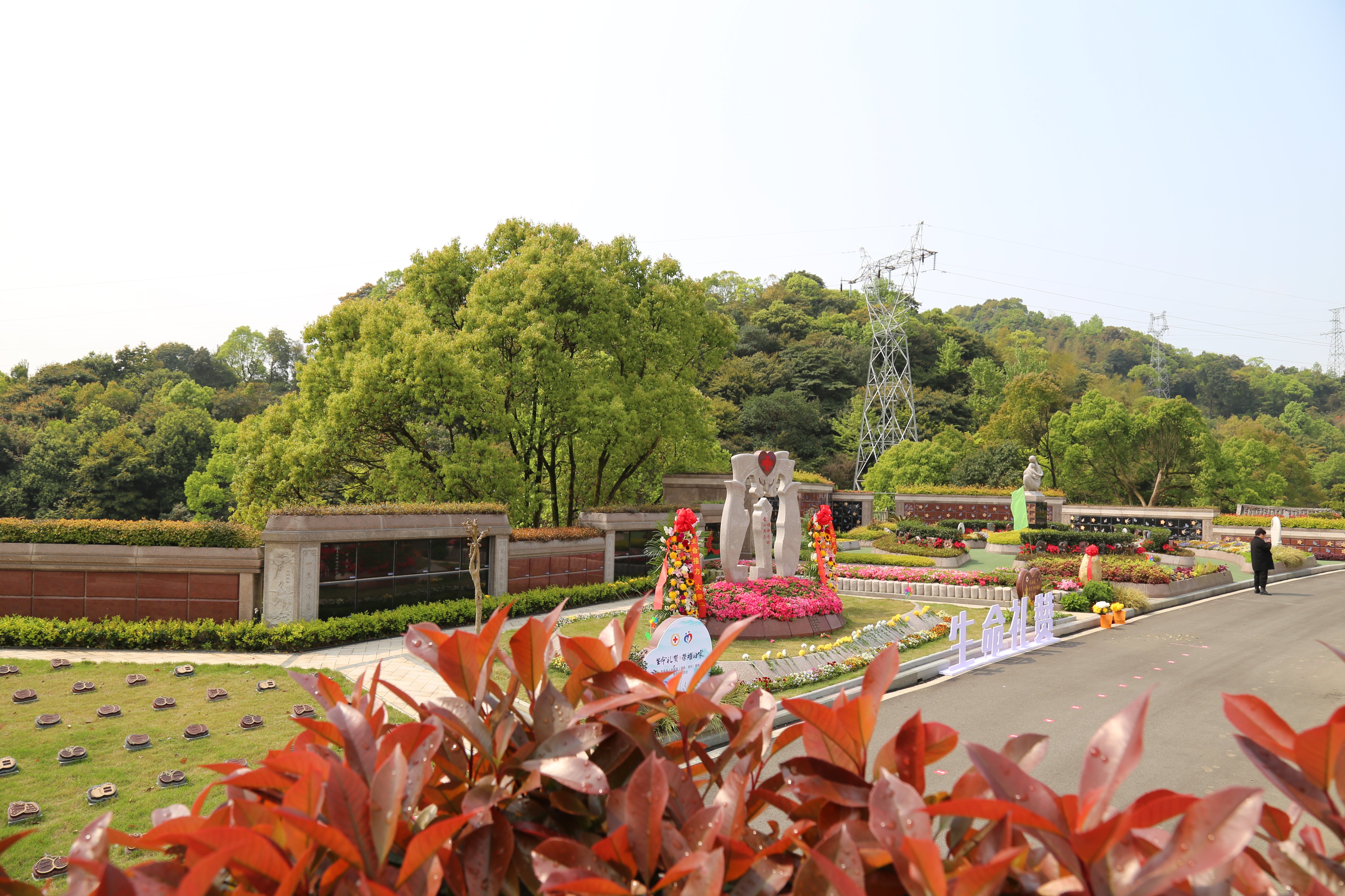 ��ҳ - ���ɱ����ǹ��ʹٷ���վ