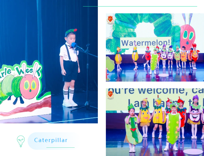 ��ҳ - ���ɱ����ǹ��ʹٷ���վ