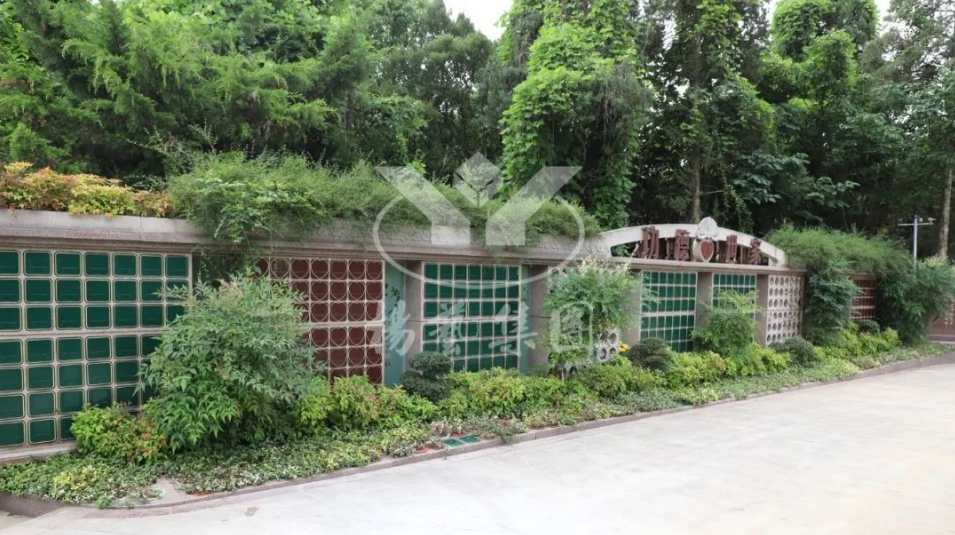 ��ҳ - ���ɱ����ǹ��ʹٷ���վ