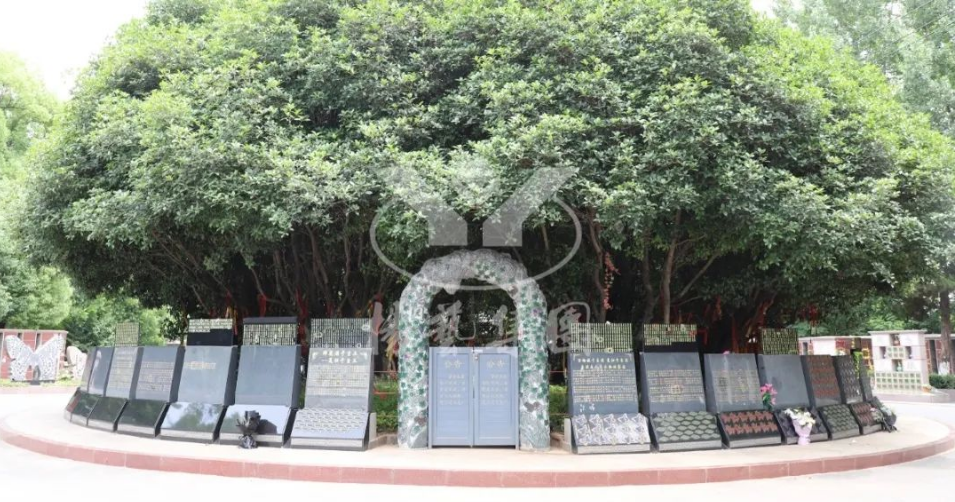 ��ҳ - ���ɱ����ǹ��ʹٷ���վ