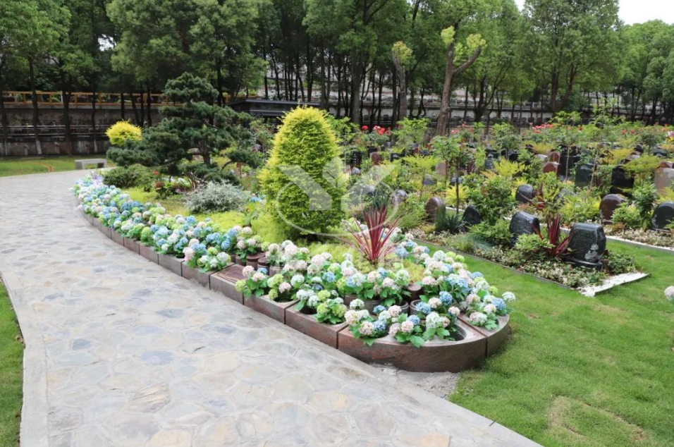 ��ҳ - ���ɱ����ǹ��ʹٷ���վ