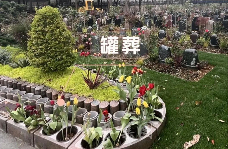 ��ҳ - ���ɱ����ǹ��ʹٷ���վ