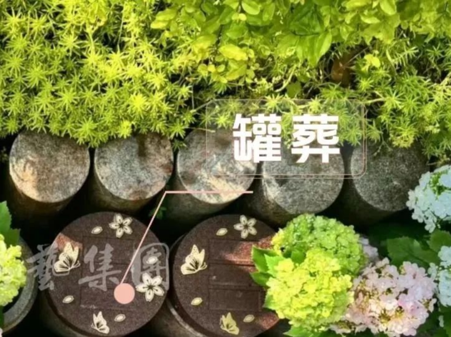 ��ҳ - ���ɱ����ǹ��ʹٷ���վ