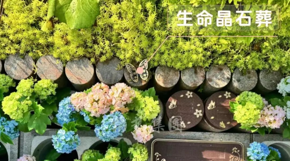 ��ҳ - ���ɱ����ǹ��ʹٷ���վ