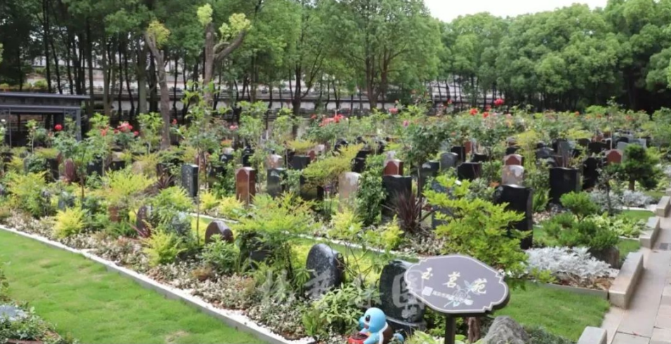 ��ҳ - ���ɱ����ǹ��ʹٷ���վ