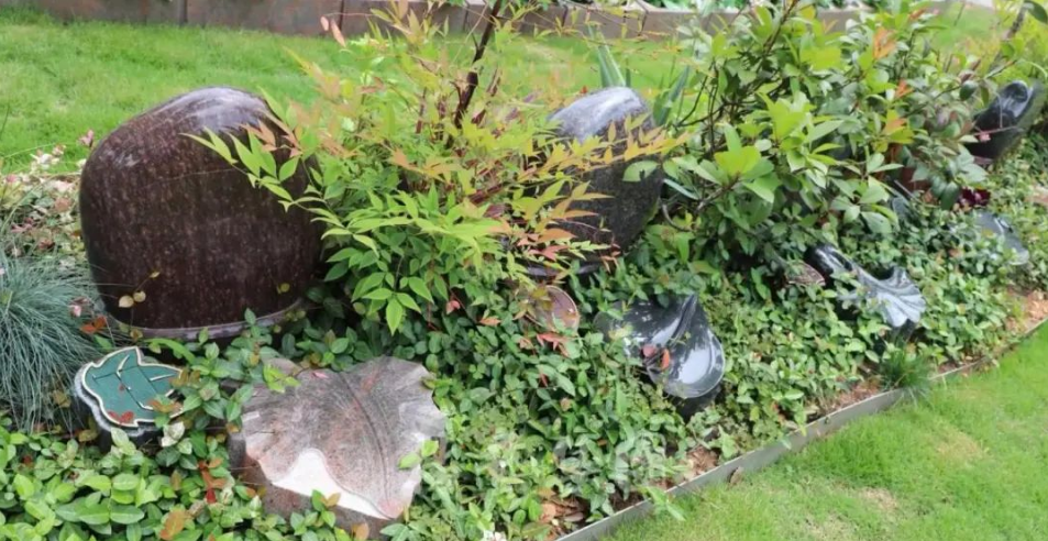 ��ҳ - ���ɱ����ǹ��ʹٷ���վ