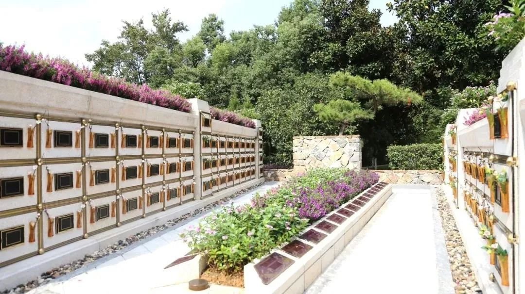 ��ҳ - ���ɱ����ǹ��ʹٷ���վ