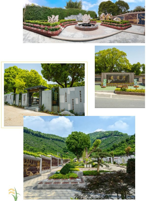 ��ҳ - ���ɱ����ǹ��ʹٷ���վ